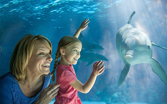 Sea World